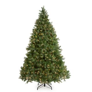 Downswept Douglas Fir Medium Pre lit Christmas Tree   Christmas Trees