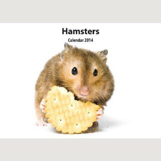 Hamster 2014 Wall Calendar : Pet Memorial Products : Pet Supplies