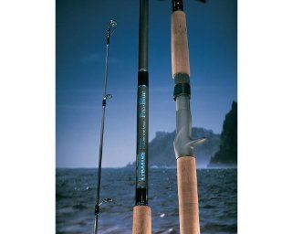 G. Loomis Pro Blue PBR843C Casting Rod  Baitcasting Fishing Rods  Sports & Outdoors