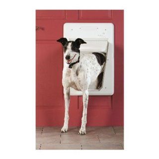 PetSafe Smart Door Storm Door Dog Door : Pet Doors : Pet Supplies