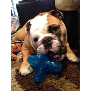 Petstages ORKA Jack Chew Toy   Large : Pet Chew Toys : Pet Supplies