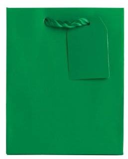 Jillson Roberts Small Gift Bag, Green Matte, 12 Count (ST913) : Gift Wrap Bags : Office Products