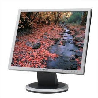 Samsung SyncMaster 940B 19" LCD Monitor   Silver: Computers & Accessories