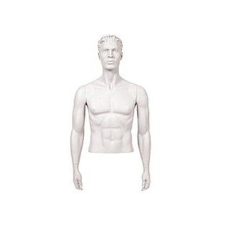Male Mannequin Arms Arms by Side   White (Arms Only) Science Education
