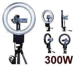 300W Continuous Video Ring Light for Panasonic SDR S26, S7, S150, S10P1, H80, H79K, H60, H40, H18, SW21 S, SW20, PVDV203, PVDV963, PVDV103, VDR D50, D210, D230, D100, D300, M53, M30 : On Camera Video Lights : Camera & Photo