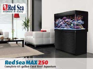 Red Sea Fish ARE40130 Max 250 Reef Tank for Aquarium, 66 Gallon, Black : Saltwater Aquarium : Pet Supplies