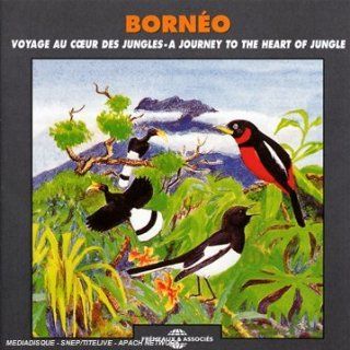 Borneo/Journey to the Heart Music