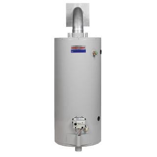 Direct Vent 40 Gallon 6 Year Short Gas Water Heater (Natural Gas)