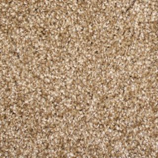STAINMASTER Nitro Brown Textured Indoor Carpet