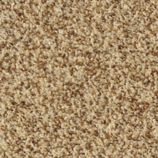 Dixie Group Active Family Maple Springs Pristine Frieze Indoor Carpet
