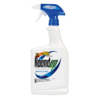 Roundup 24 oz Roundup Weed & Grass Killer Ready To Use