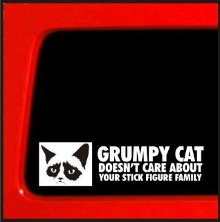 Grumpy Cat sticker Doesn't Care About Your Stick Figure Family funny decal sticker meme: Automotive
