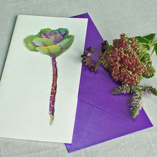 'ornamental cabbage' autumn greetings card by the botanical concept
