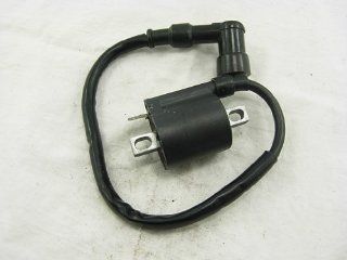 150 250cc Ignition Coil for Atv, Dirt/pit/trail Bike 162fmj 5 163ml 170fmm Honda Style Dirt Pit Trail Bike Atv Quads Buggies 200cc 250cc Parts #65486 : Electric Sports Scooters : Sports & Outdoors