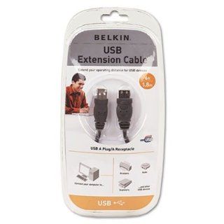 Belkin F3U134V06   Pro Series High Speed USB 2.0 Extension Cable, 6 ft. BLKF3U134V06: Computers & Accessories