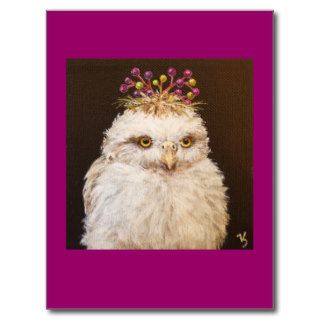 shameena the owlet postcard