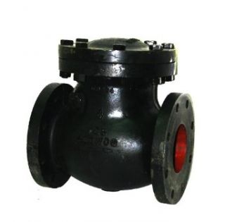 Apollo 910F Series Cast Iron Swing Check Valve, Class 125, Metal Seat, Flanged: Household Rough Plumbing Valves: Industrial & Scientific