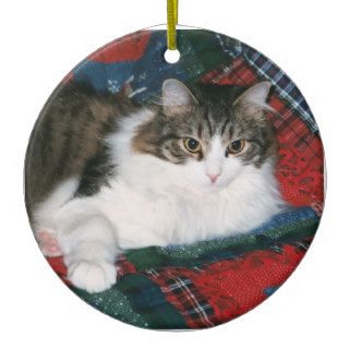 Custom Pet Memorial Photo Christmas Ornament