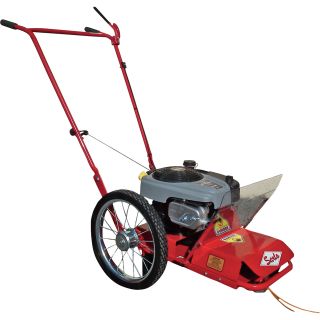 Sarlo Walk-Behind String Trimmer — 190cc Briggs & Stratton Professional Engine, 22in. Cutting Width, Model# SST6  Trimmers   Brush Cutters