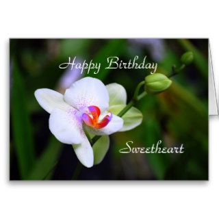 Happy Birthday Sweetheart Phalaenopsis Orchid Card