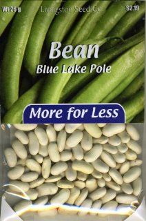 Blue Lake Pole Bean   100+ Seeds   PLUS PACK SAVINGS! : Vegetable Plants : Patio, Lawn & Garden