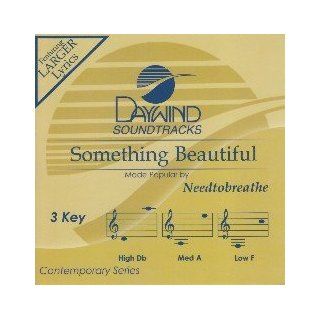 Daywind Soundtracks Something Beautiful made Popular by Needtobreathe [Accompaniment/Performance Track]: Music