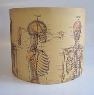 vintage skeleton handmade lampshade by rosie's vintage lampshades