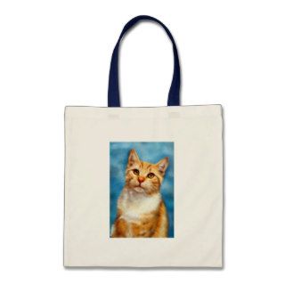 Sweet William   Orange Tabby Cat Art Bag