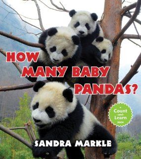 How Many Baby Pandas?: Sandra Markle: 9780802722478: Books