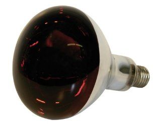 Kerbl 22245 Infrarotlampe 250 W Hartglas, rot: Beleuchtung