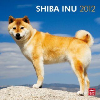 Shiba Inu 2012: Browntrout Publishers: Fremdsprachige Bücher
