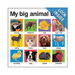 My Big Animal Book (My Big Board Books): Roger Priddy: 9780312511074:  Kids' Books