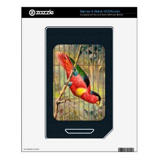 Vintage Parakeet Print Skin For NOOK Color