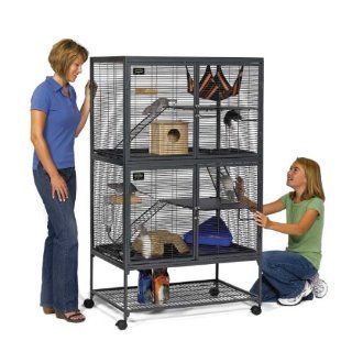 Critter Nation Small Animal Double Unit Cage : Small Animal Houses : Pet Supplies