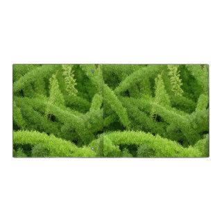 Foxtail Fern, Asparagus densiflorus myers Vinyl Binders