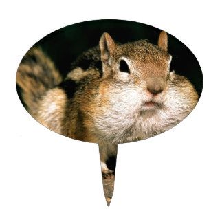 Squirrel Golden Mantled Stuffit Cake Toppers