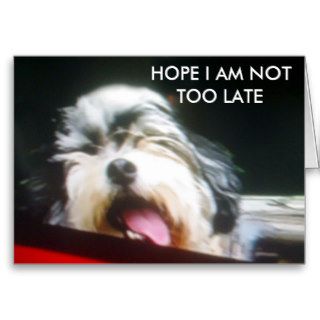 "HOPE I AM NOT TOO LATE" BIRTHDAY CARD