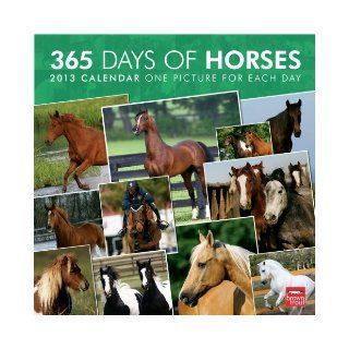 Horses 365 Days 2013 Calendar: Browntrout Publishers: 9781421699622: Books