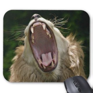 roar or yawn? mouse mat