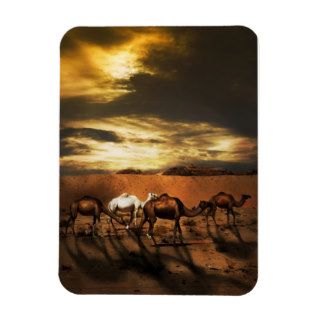 Camels in the desert rectangular magnets
