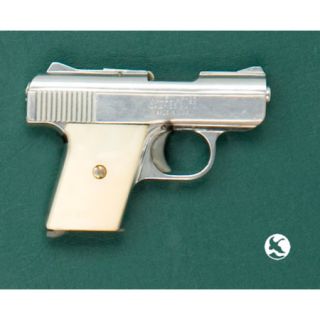 Raven Arms MP 25 Handgun UF103602948
