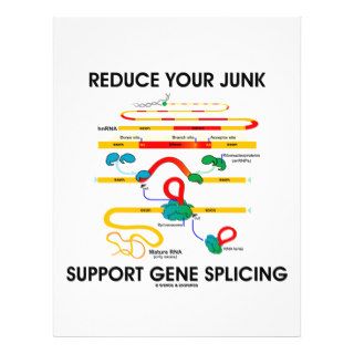 Reduce Your Junk Support Gene Splicing (RNA Humor) Flyer