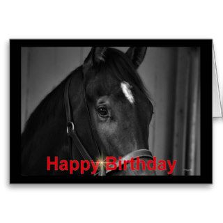 Happy Birthday Horse Birthday mare stallion foal Greeting Card