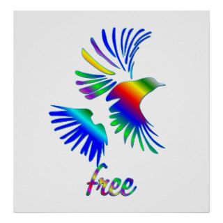 Rainbow Bird Poster