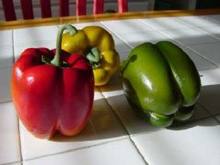 Artificial Large Assorted Bell Pepper, Box of 6 : Artificial Vegetables : Everything Else