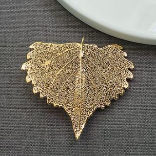 gold cotton wood brooch by martha jackson