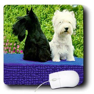 mp_506_1 Dogs Scottie And Westie   Scottie And Westie   Mouse Pads Computers & Accessories