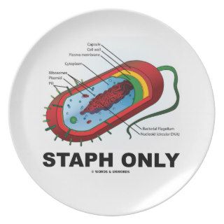 Staph Only (Bacterium Diagram Prokaryote Bacteria) Plate