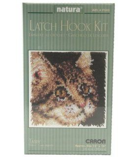 Natura P543 12 Inch by 12 Inch Latch Hook Kit, Tabby: