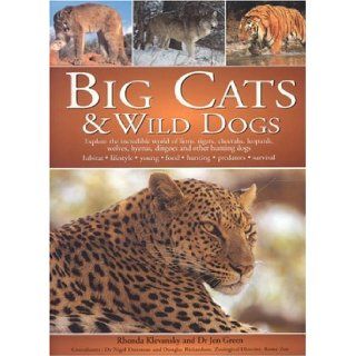 Big Cats and Wild Dogs: Explore the Incredible World and Lions, Tigers, Cheetahs, Leopards, Wolves, Hyenas, Dingos and Other Hunting Dogs: Jen Green, Rhonda Klevansky: 9781844761319: Books